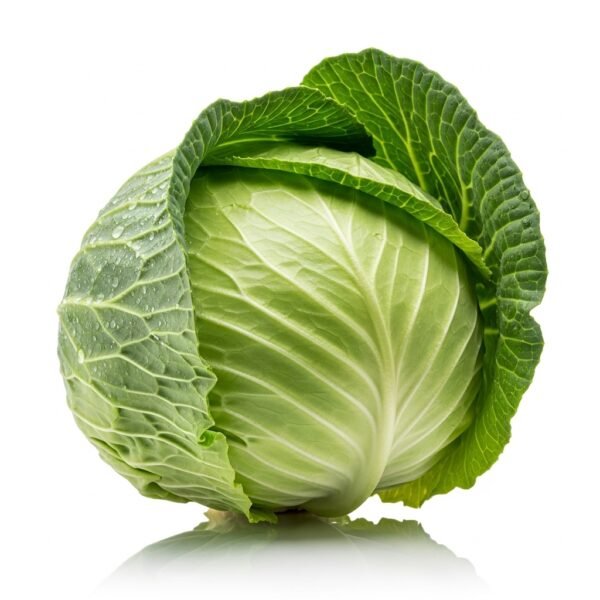 Fresh Cabbage 1pc
