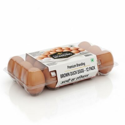 Brown Eggs 12 Pack