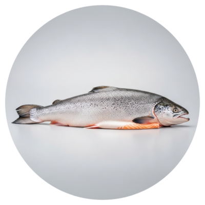 Seafood